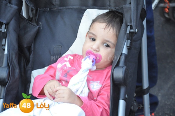 iste3rad 3eed kashaf3 (176).JPG